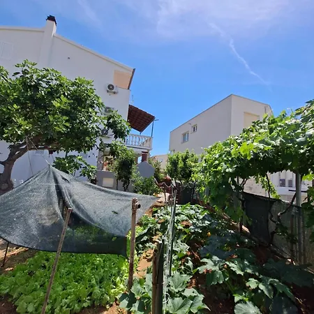 Olive Paradise Apartman Grebaštica