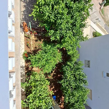 Olive Paradise Apartman
